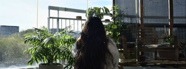 Jasmin S landscape
