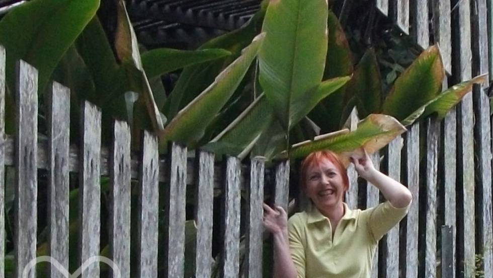 Linda Jones landscape