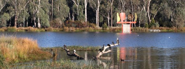 Visit Shepparton park lake for a romantic dating adventure with a high class escort