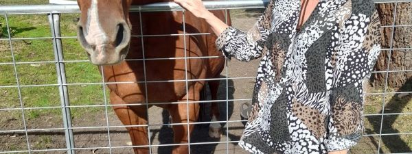 Linda Jones landscape